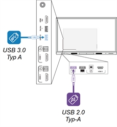 USB-Anschlüsse auf der Vorder- und Rückseite des Displays