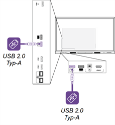 USB-Anschlüsse auf der Vorder- und Rückseite des Displays