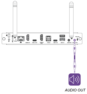 Audio output connector on the connector panel