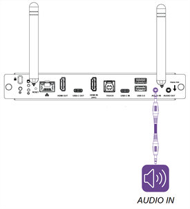 Audio input connector on the connector panel