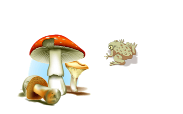 Une image de champignon ajoutée à côté de l'image de crapaud.