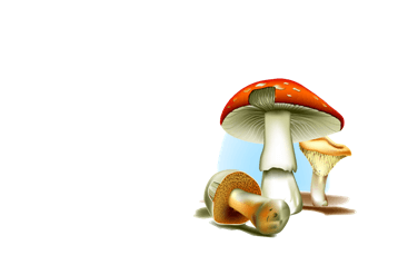 L'image du champignon est déplacée pour recouvrir l'image du crapaud.