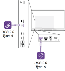 USB receptacles on the back and front of the display